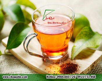 Bài thuốc dân gian từ nụ vối trị vô số bệnh 