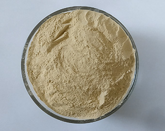 Bột Củ Sen Nguyên Chất Bổ Dưỡng 