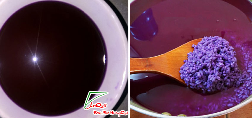 ngâm gạo với nước lá cẩm