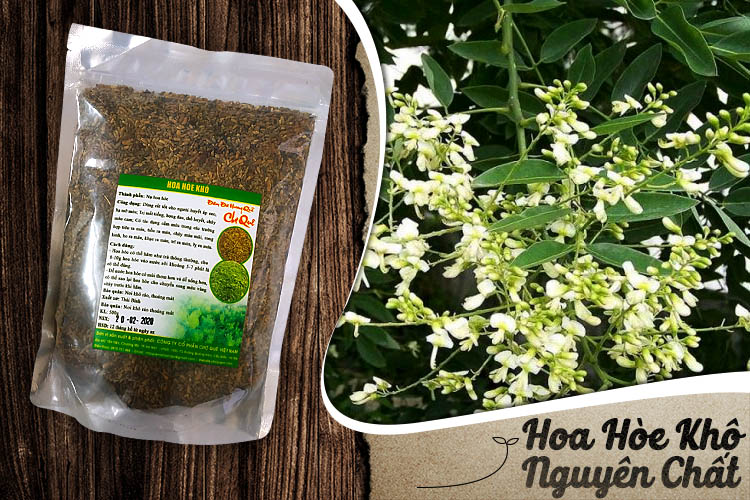 Hoa Hòe Khô Nguyên Chất Điều Trị Bệnh Trĩ